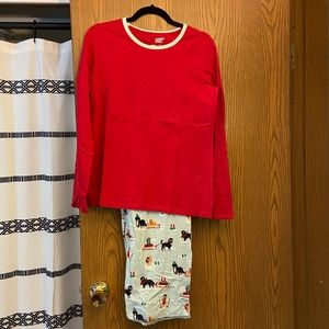 NWOT Land’s End Pajama Set Holiday Dogs Pattern, Size Medium